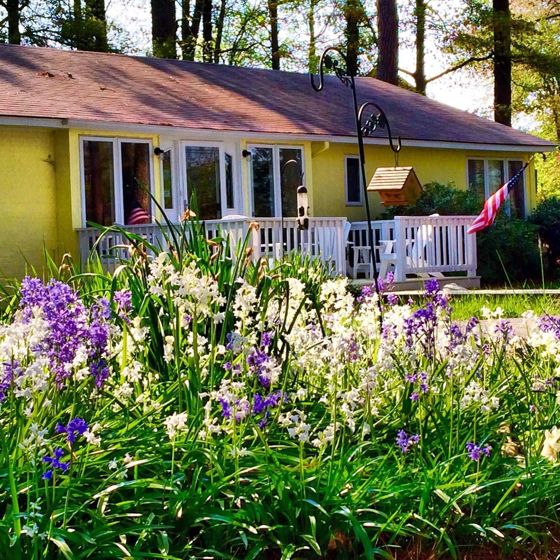 Meris Gardens B&B Bethany Beach Extérieur photo