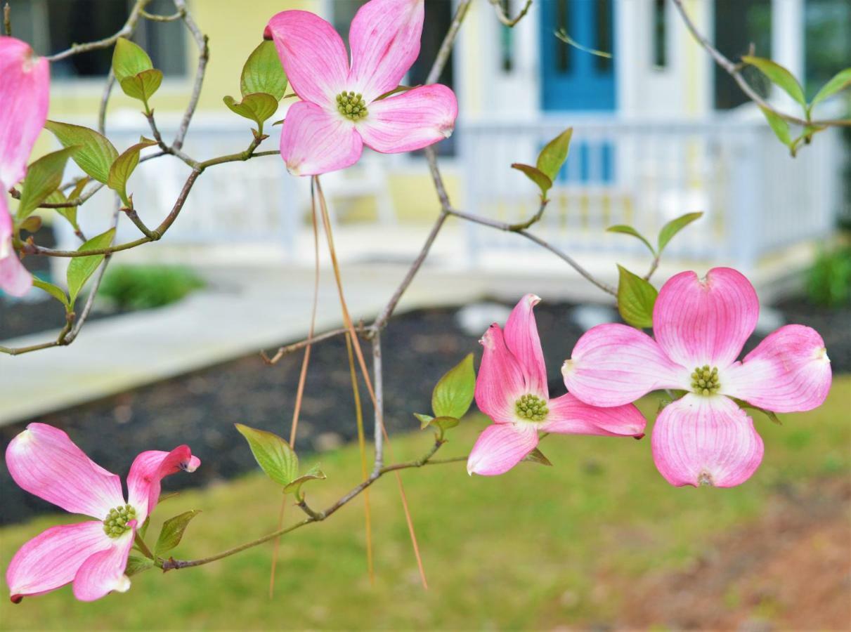 Meris Gardens B&B Bethany Beach Extérieur photo